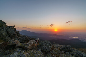 My dog watching the sunset in Peñalara © Mr WeaK