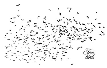 A flock of flying birds. A large flock of flying crows. Vector illustration