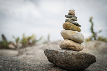 Zen stone tower on the rock bed with blurred images of curved Wildplants on the background