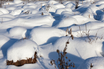covered soil and grass with a thick layer of snow after a cyclone