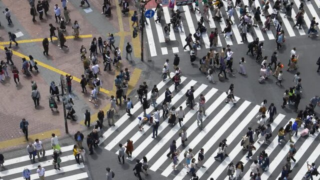 High angle of the Crowd of People Crossing the Road. Shibuya Crossing in Tokyo, Japan. slow motion shot.