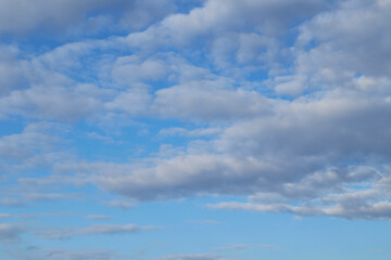 Chmury kłębiaste na tle niebieskiego nieba