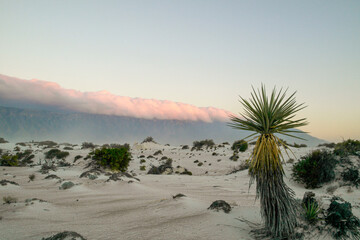 Hermoso paisaje en Cuatrociénegas de Carranza, una ciudad del estado mexicano de Coahuila.