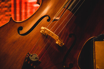 Detalhe do Violino