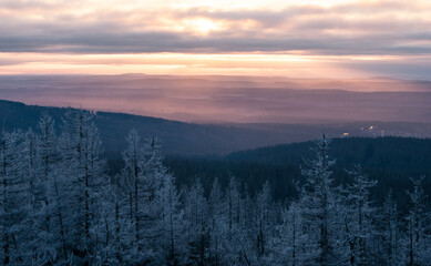 Frozen Harz