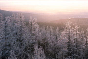 Sonnenlicht im Harz