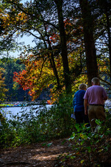Fototapeta premium DFSP-Fall Foliage-Dangerfield, Texas-4780