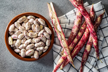 Cranberry beans. Borlotti beans in bowl. Beans pods.