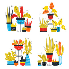 Hand drawn house plants composition set. Flat style vector illustration isolated on white background. Indoor houseplants in pots. Potted doodle  plants collection. 