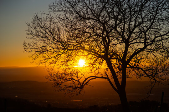 Sun setting through tree branches in winter on a clear day © Callum