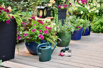 Garden tools and watering can with summer flowering planters in full bloom in lush landscaped...
