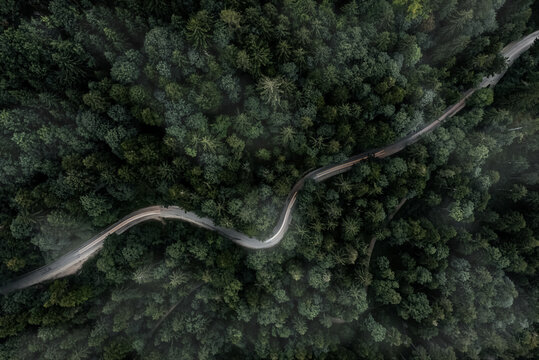 Winding curvy road inside a forest from a top down view of a drone at a foggy evening with a car backlight.
