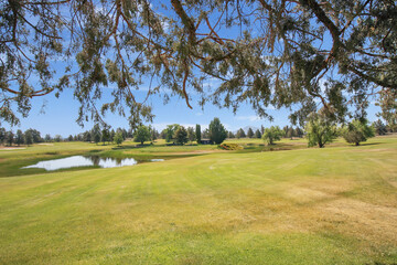 There are no recognizable people or property visible in the photos.