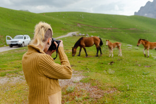 person near his off-road car taking pictures of a group of horses in the mountains while on an adventure trip