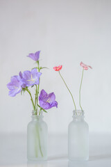 Flowers in frosted glass dropper bottles