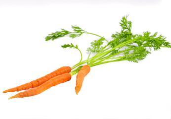Bunch of fresh baby carrots isolated on white background