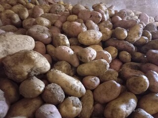 Close shot of a heap of potatoes 