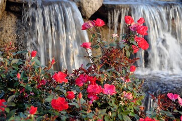 Fototapeta na wymiar Flowery waterfall
