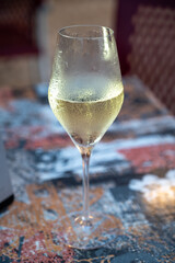 One flute glass of cold sparkling wine champagne brut