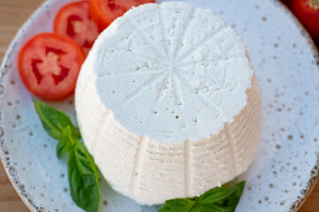 Cheese collection, white Italian soft cheese ricotta served with fresh tomatoes and basil