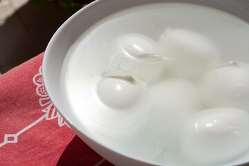 Cheese collection, white balls of Italian soft cheese mozzarella di bufala campana floating is water