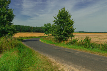 Fototapeta na wymiar Wąska, wiejska, asfaltowa droga.