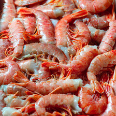 Close-up lined with Norwegian lobster, langoustines, cut, headless,. Top view, Flat lay, close-up.