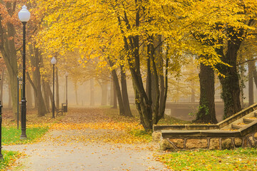 Manor park in the city of Ilowa, Poland in the fall. There are yellow leaves on the trees. Fog is rising between the trees.
