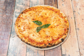 Family Pizza Cooked with Four Cheese Recipe, Oregano and Basile Baked and Ready to Eat