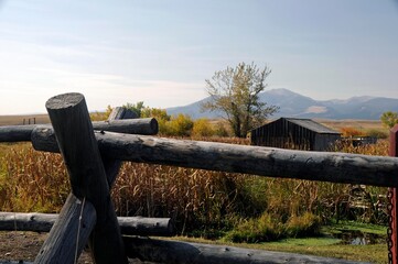 Wooden fence