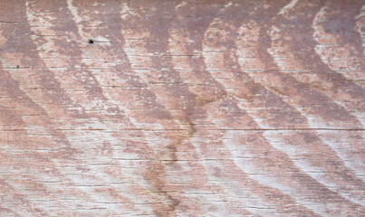 Abstract, natural and high resolution textures.