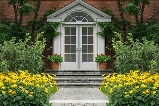 Front door of house surrounded by bright yellow daisies