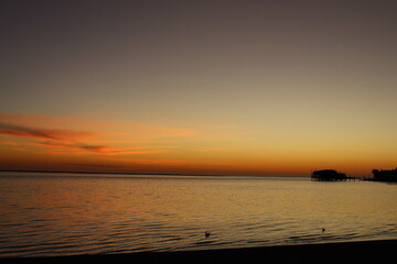 Bird life at the coast 