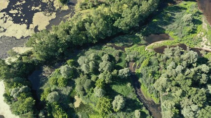 survol du Cher et de la foret de Tronçais