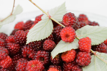 japanese wine berries dessert