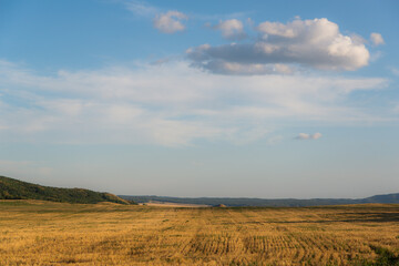 Beveled yellow field and clouds.