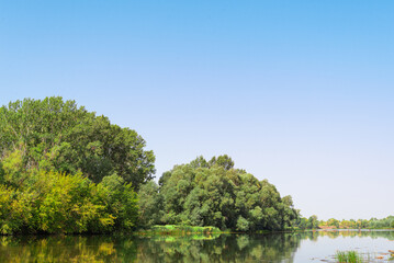 River and green, lush trees along the shore.
