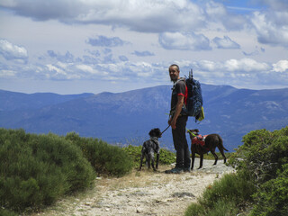 Closeup shot of a Caucasian male hiking in the mountains with his dogs © Rodrigo Morante/Wirestock