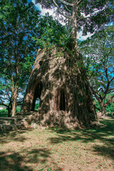 Tobago tree house2