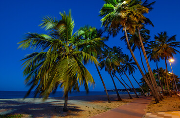 Joao Pessoa, Paraiba, Brazil, on November 5, 2004. coconut grove on Cabo Branco beach in the evening.