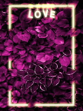 COLORFUL flowers of life abstract art