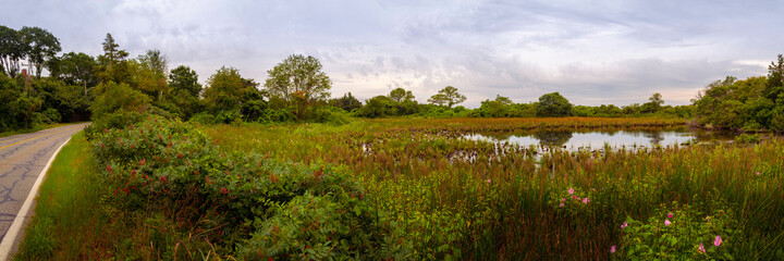 Fototapeta na wymiar Panoramic landscape of the animal sanctuary with pond and flowery bushes along the local road in Falmouth on Cape Cod