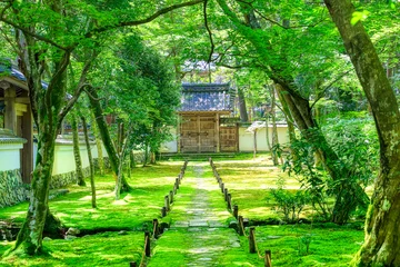 Schilderijen op glas 京都、西芳寺（苔寺）の庭園 © sonda0112