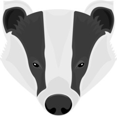 Eurasian badger © luis sandoval