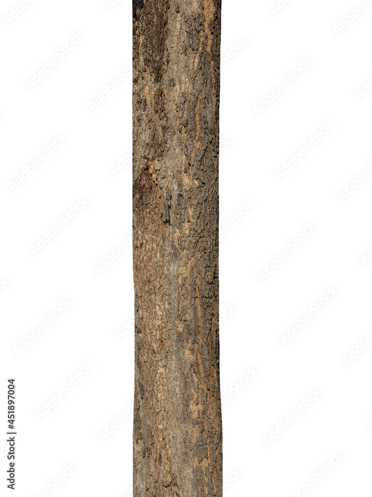 Aufkleber trunk of a tree isolated on white background