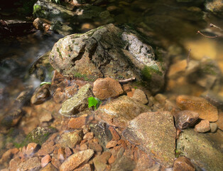 Stones in a stream. Long exposure of water flow. Close-up of rocks in a creek.
