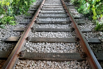 Obraz premium railroad tracks in the forest