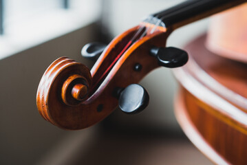 Voluta, cravelha, espelho e cordas de um violoncelo.