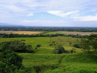 Obraz premium Cultivos en la región del Ariari