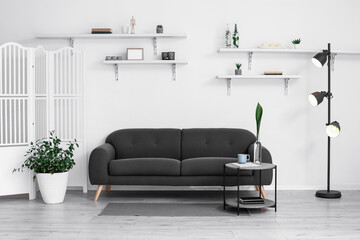 Interior of stylish living room with comfortable sofa